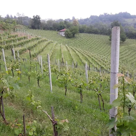 Guest House Gentile In Tagliolo Monferrato Lerma