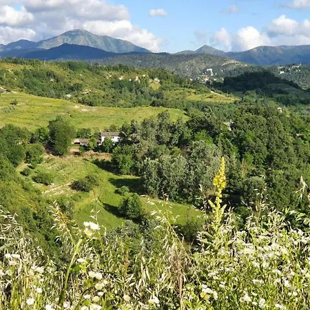 Guest House Gentile In Tagliolo Monferrato Lerma